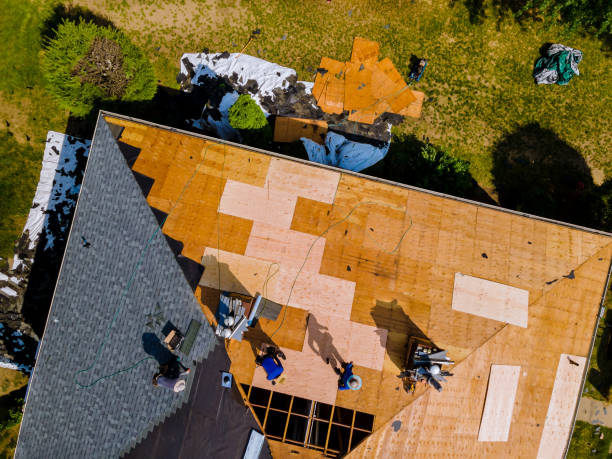 Best Roof Maintenance Services  in Garden City, MI